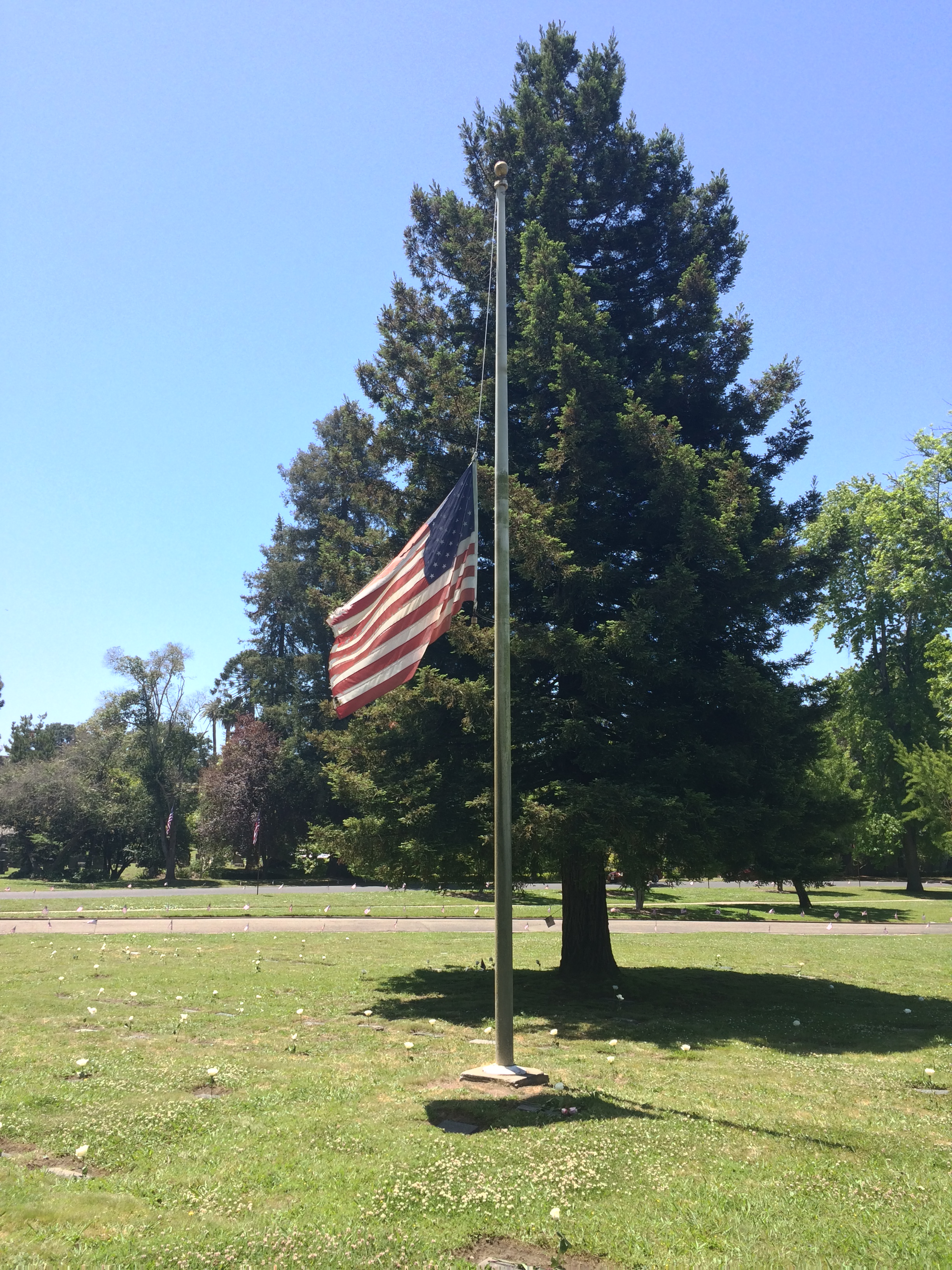 The office will be closed on Monday May 26 in observance of Memorial ...